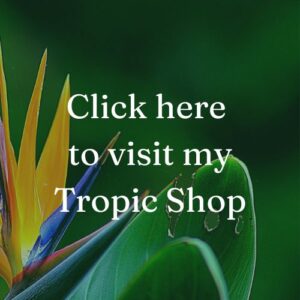 Click here link to visit my Tropic Skincare Shop